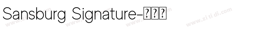 Sansburg Signature字体转换